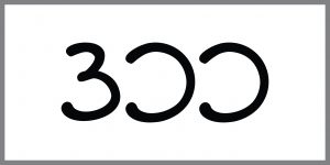300 logo